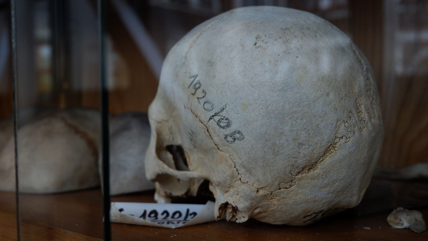 "Muzeum" Zakładu Medycyny Sądowej w Krakowie. Tu przechowuje się narzędzia głośnych zbrodni [ZDJĘCIA]