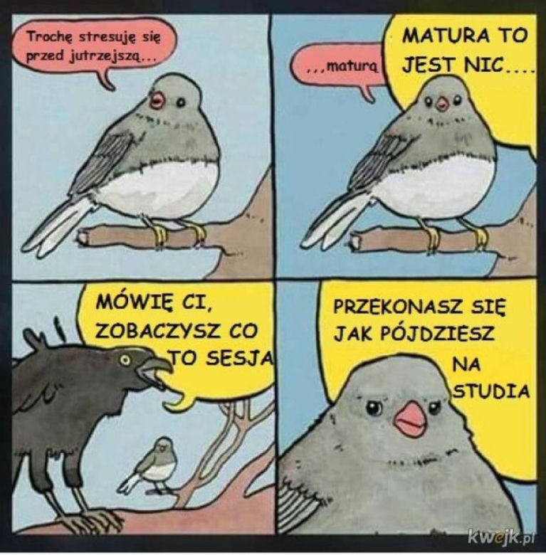 Matura 2022: MEMY o egzaminie dojrzałości