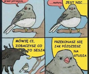 Matura 2022: MEMY o egzaminie dojrzałości