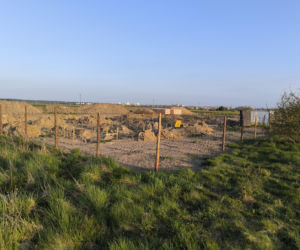 Gronowo szeregowce Antonińska