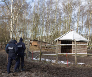 Chciał zobaczyć strusia, skatował go na śmierć.