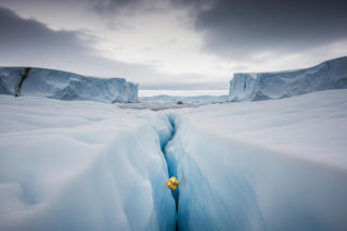 Złoto Antarktydy. Dlaczego nikt nie może go dotknąć?