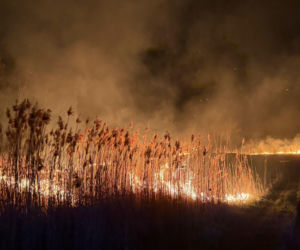 Pożar objął powierzchnię około 11 hektarów nieużytków