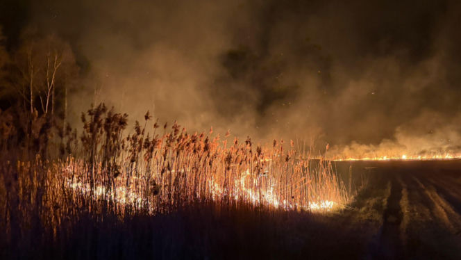 Pożar objął powierzchnię około 11 hektarów nieużytków