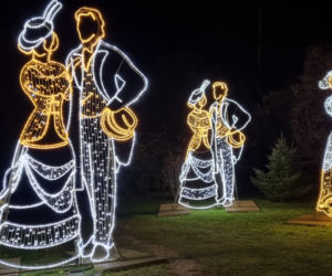 Ogród Botaniczny po zmroku zamienia się w magiczny ogród [GALERIA]