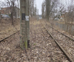 8 lat bez tramwajów na Babiej Wsi. Torowisko w ruinie!