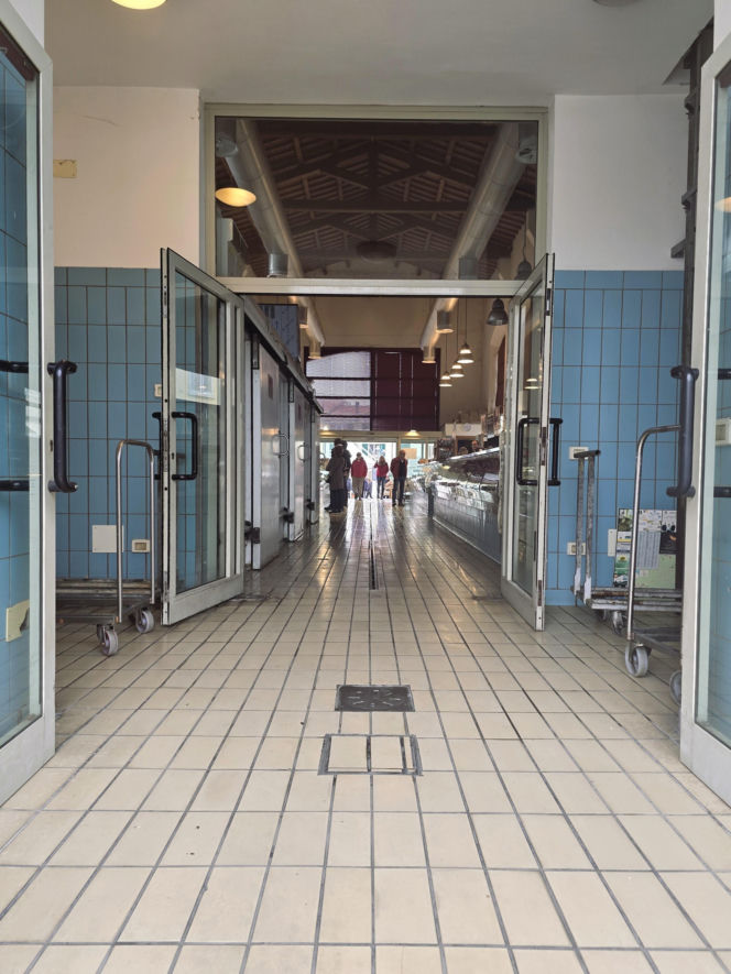 Cesenatico - klimatyczny kurort z historią. Przewodnik po najciekawszych miejscach