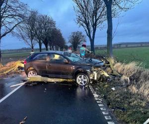 Osobówka wjechała w połamane drzewo! O krok od tragedii pod Żninem 