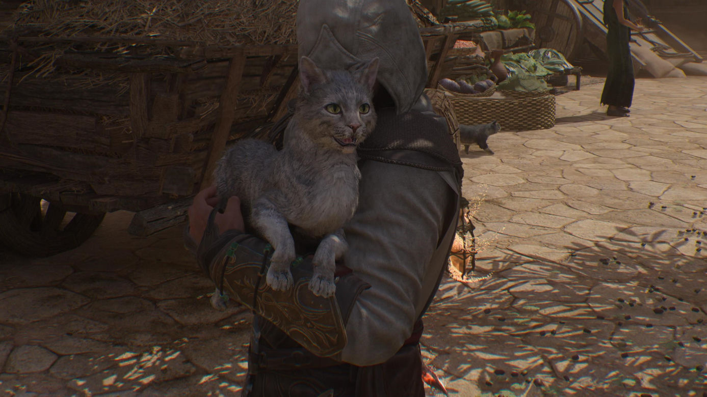 Mistrz Miausasynów. Koty w Assassin's Creed Mirage są wyjątkowe