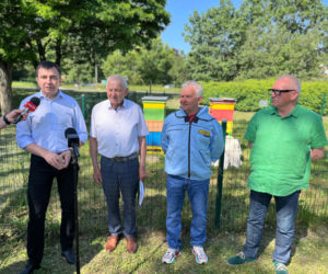 Pszczoły między samochodami? W Głogowie to działa od lat