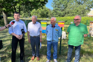 Pszczoły między samochodami? W Głogowie to działa od lat