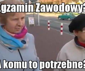Egzamin zawodowy 2020: MEMY o egzaminie potwierdzającym kwalifikacje zawodowe [ZDJĘCIA]