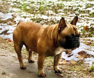 Oto największy ulubieniec Trzaskowskiego