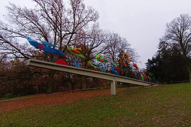 "Ogniste Ptaki" w Parku Kasprowicza w Szczecinie