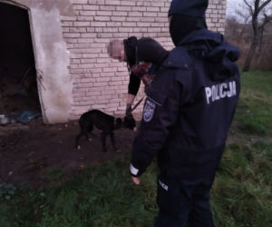 Nitka przeżyła HORROR
