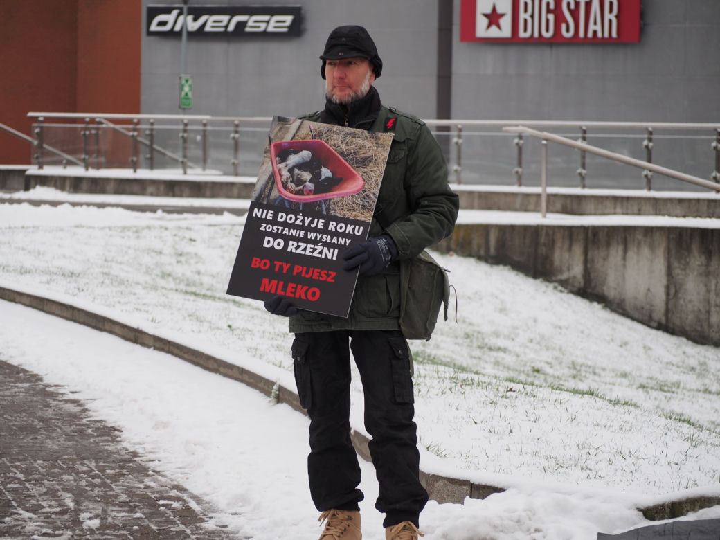 W Grudziądzu manifestowali aktywiści na rzecz zwierząt