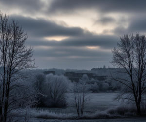 Rzeszów zamarznie? Prognoza na 19.11.2025 i szokująca zapowiedź!