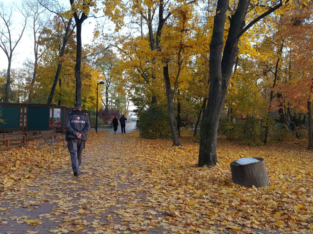 Park 1000-lecia w Lesznie na chwilę przed zachodem słońca