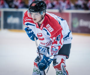 KH Energa Toruń - Comarch Cracovia 5:2, zdjęcia z meczu