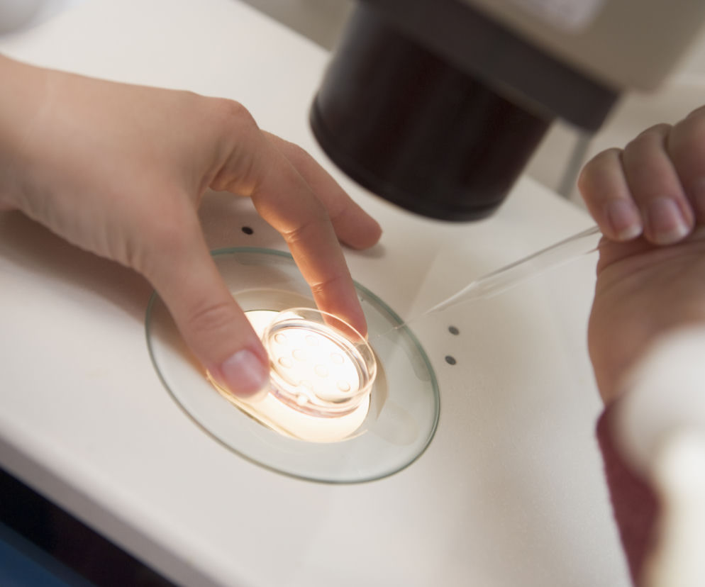 Ustawa o in vitro
