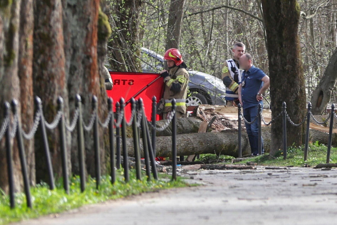 Rabka-Zdrój. Trzy osoby, w tym sześcioletnie dziecko, zginęły przygniecione przez powalone pod naporem wiatru drzewo