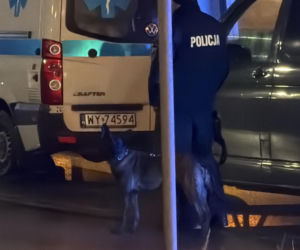 Pirotechnicy Blizne Łaszczyńskiego