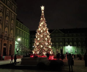 Choinka przed urzędem miasta w Szczecinie