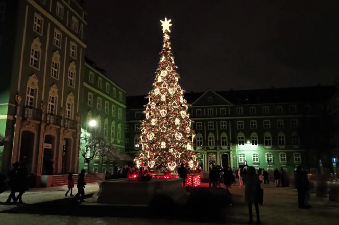 Choinka przed urzędem miasta w Szczecinie