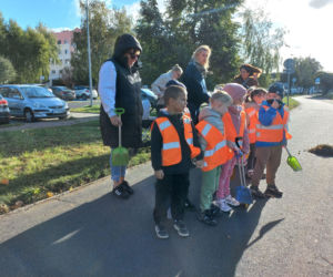 Posadzili ponad 30 drzew na Alejach Konstytucji 3 Maja w Lesznie. Wybrano trzy gatunki