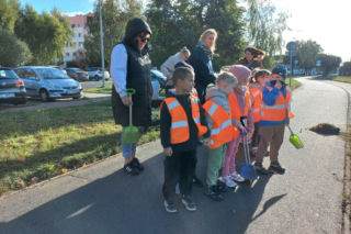 Posadzili ponad 30 drzew na Alejach Konstytucji 3 Maja w Lesznie. Wybrano trzy gatunki