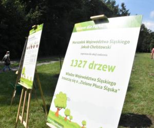 Park Śląski: AKCJA 1327 DRZEW Patryk 