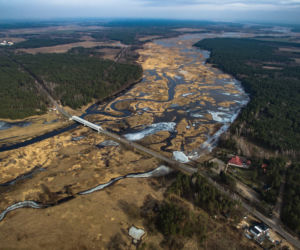 Rozlewiska rzeki Narew. Niesamowite zdjęcia z drona [ZDJĘCIA]