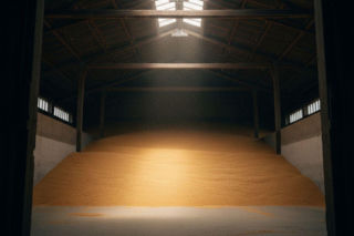 Niskie ceny zbóż: dopłaty nadzieją?