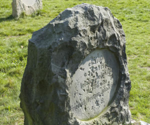 Zamek Kliczków
