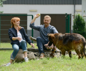 Komisarz Alex 13 sezon odc. 156. Piotr (Krystian Wieczorek), Lucyna (Magdalena Walach)