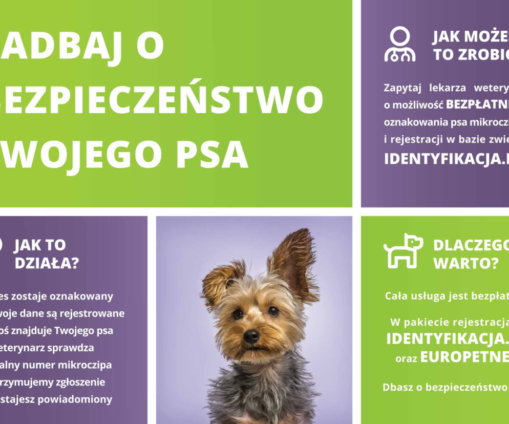 grudziądz