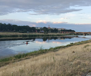 Wrocław jak pustynia! Przerażające widoki w parkach i na osiedlach