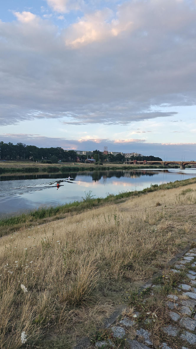 Wrocław jak pustynia! Przerażające widoki w parkach i na osiedlach