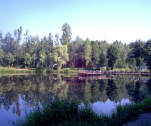 Staw Janina