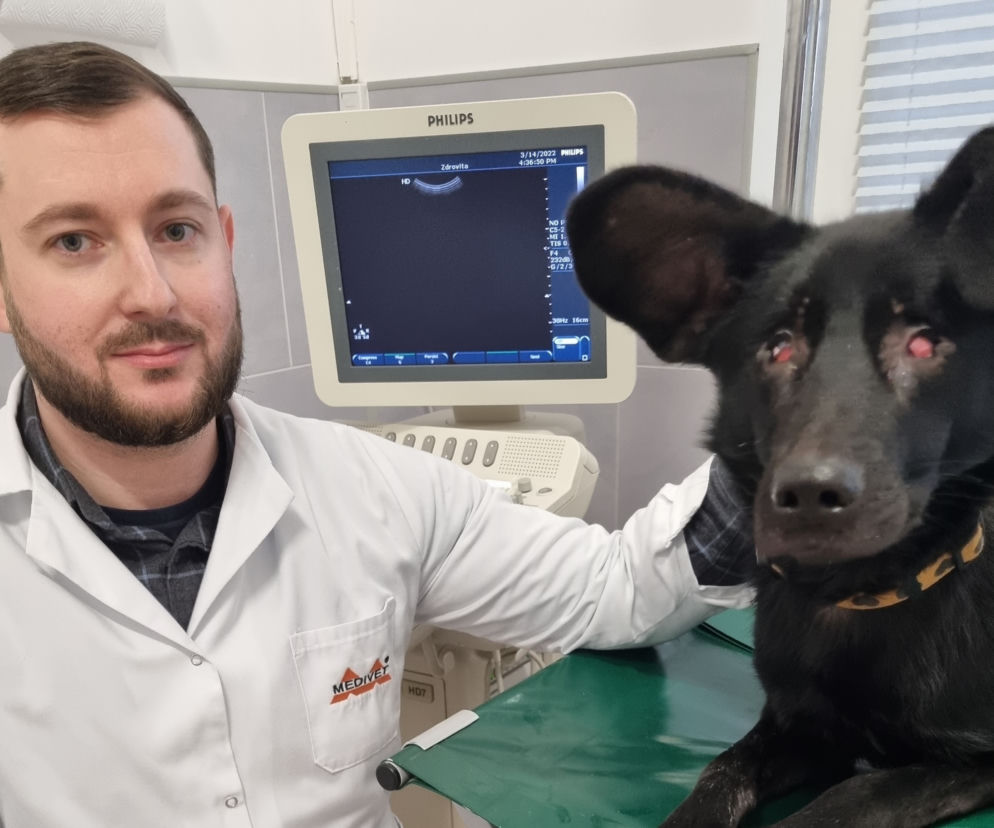 Miał 50 pocisków w całym ciele! Mógł umrzeć w rowie, a teraz wraca do normalnego życia