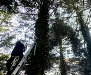 Włodzimierz Czarzasty robi budki dla ptaków Sejm/Piotr Tracz