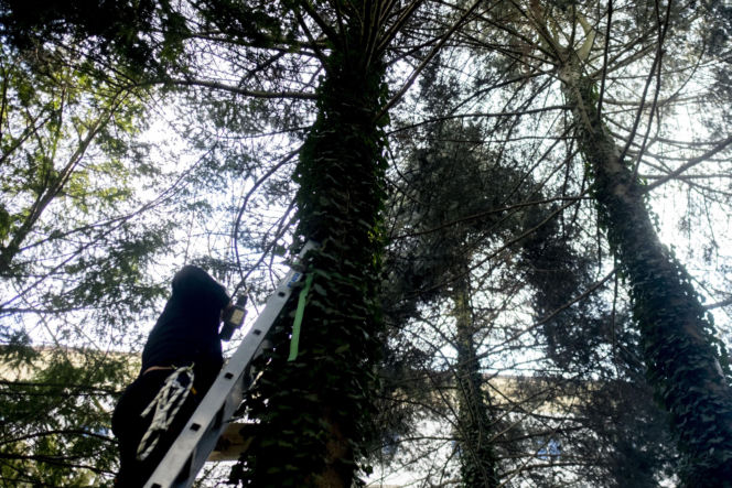 Włodzimierz Czarzasty robi budki dla ptaków Sejm/Piotr Tracz