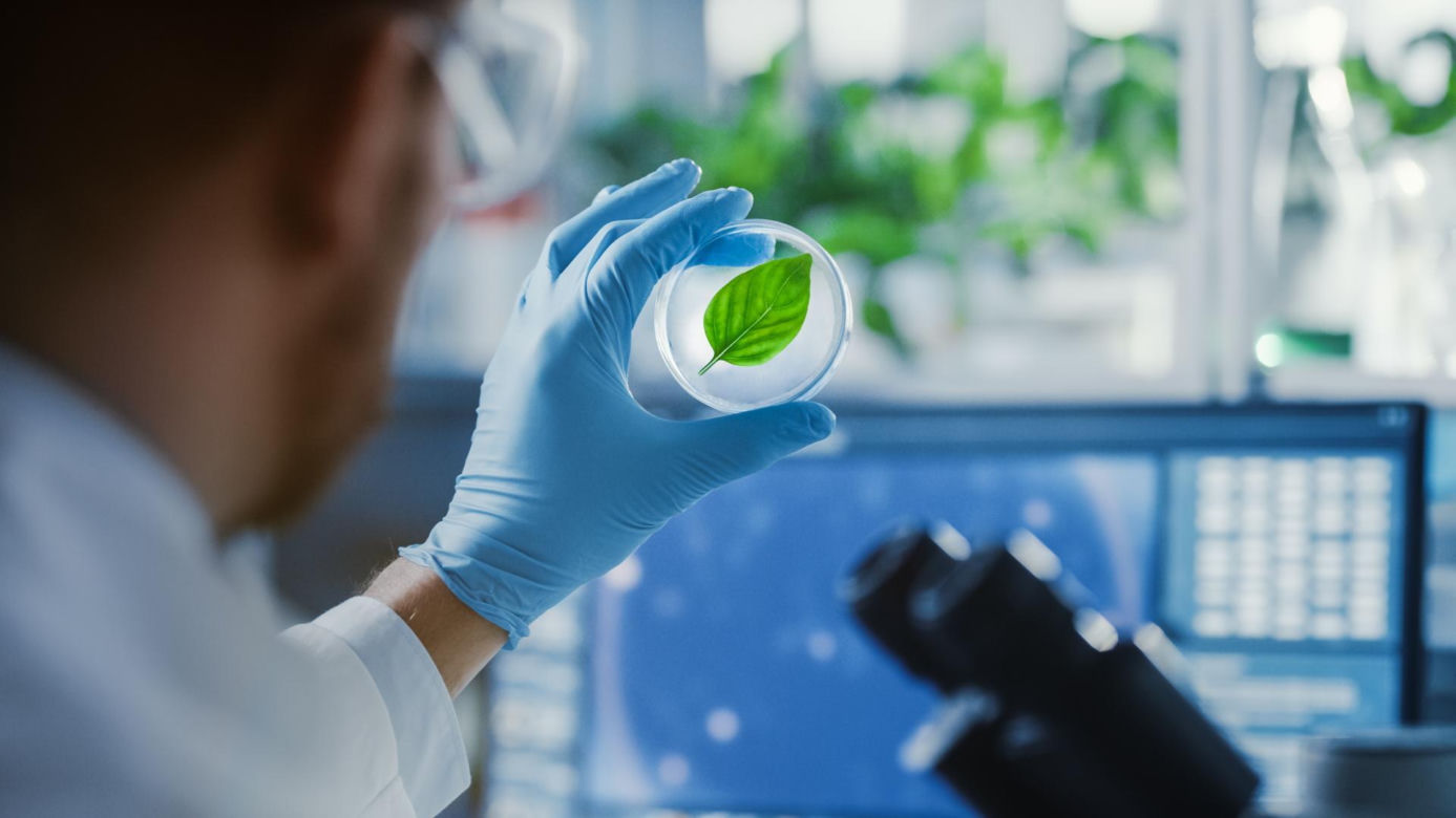 Biologia - 1,26 kandydata na jedno miejsce
