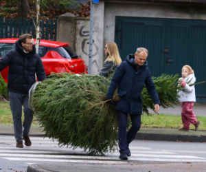 Donald Tusk z zięciem dźwigają gigantyczną choinkę. A za nimi drepcze Kasia z drugą. Wnusie premiera jak księżniczki