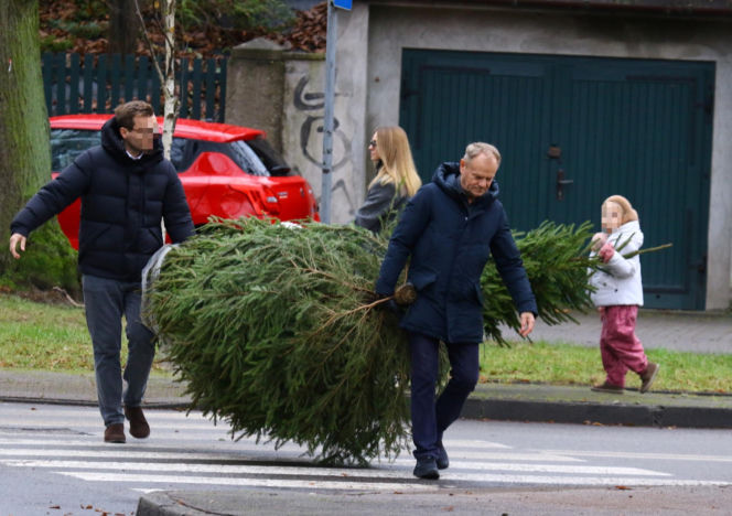 Donald Tusk z zięciem dźwigają gigantyczną choinkę. A za nimi drepcze Kasia z drugą. Wnusie premiera jak księżniczki
