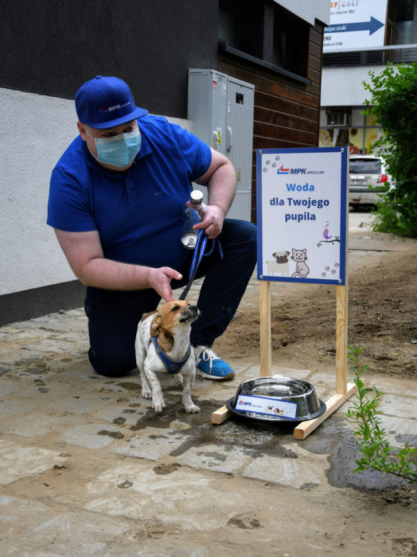 Wodopoje dla psów na pętlach MPK Wrocław