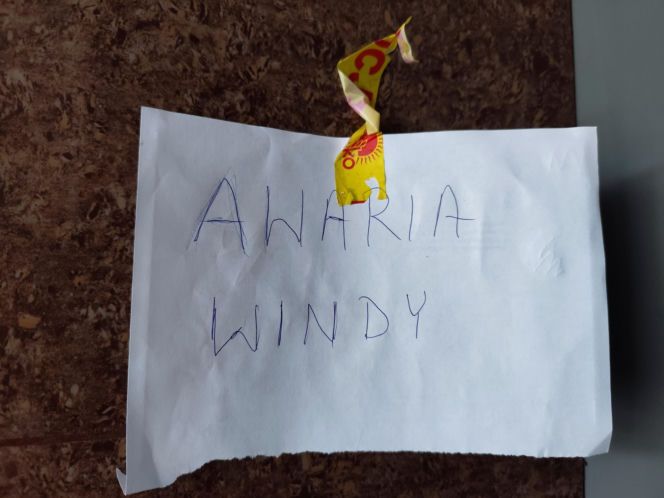 Zerwała się winda z pasażerem