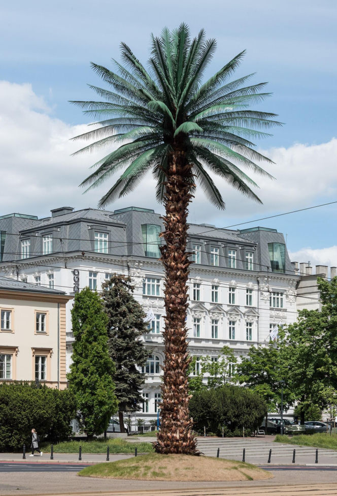Słynna palma na rondzie de Gaulle'a - jeden z nowych symboli miasta
