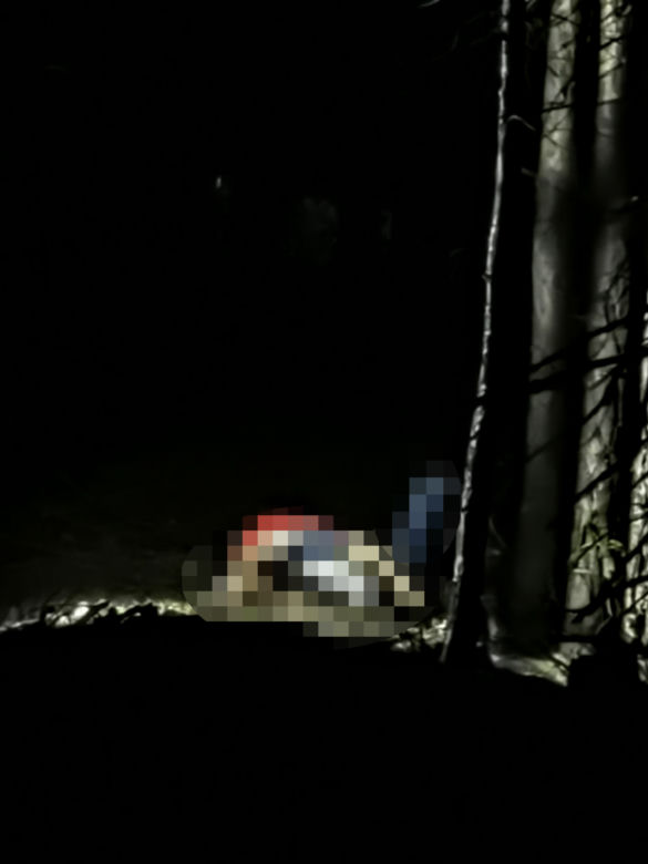 Śmierć młodej policjantki i jej 9-letniego syna