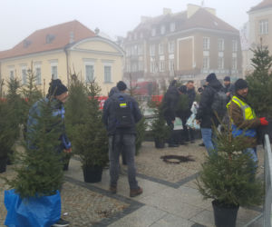 Białystok. Białostoczanie wymienili sztuczne choinki na żywe
